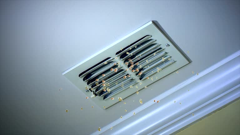 Roselawn, IN Airduct Cleaning Company