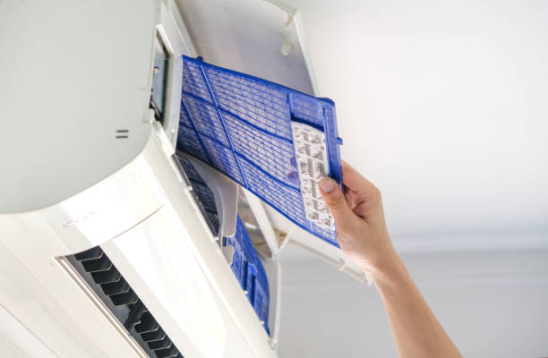 Best Affordable Air Duct Cleaning  in Roselawn, IN